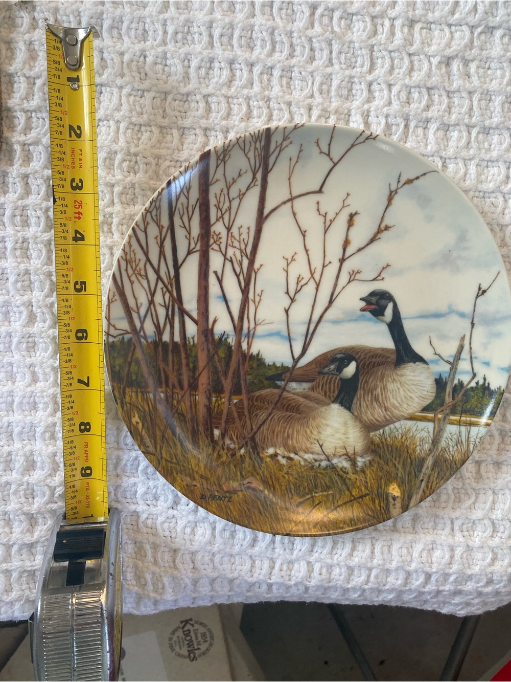 6pc Birds of Your Garden plates - Picture 3 of 4